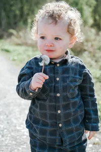 PHA Family Best Models 2026 3