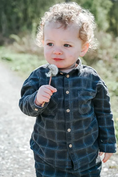 PHA Family Best Models 2026 3