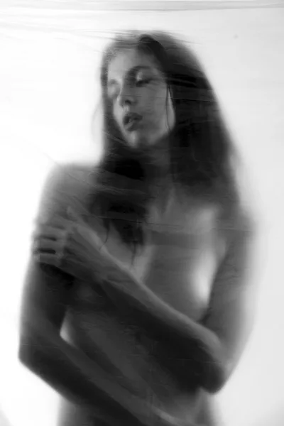 Lauren PHA models Manchester Female 2025 11